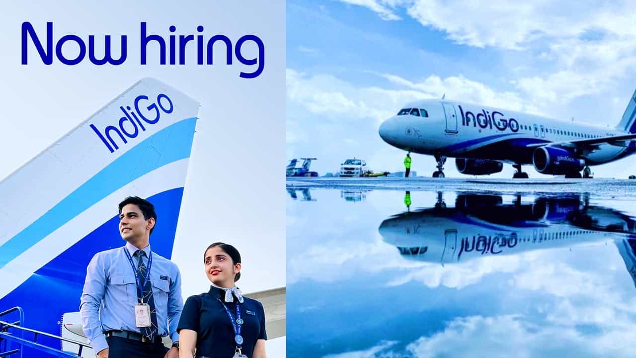 indigo careers