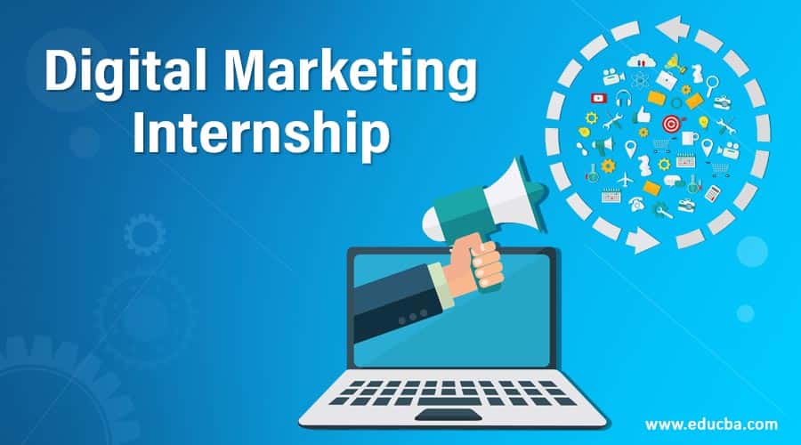 digital marketing internship